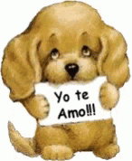 Amor Yo Te Amor GIF - Amor Yo Te Amor Puppy GIFs