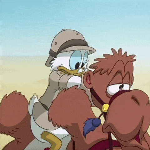 donald duck is riding on the back of a brown camel