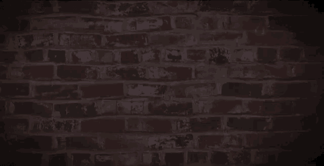 a neon sign on a brick wall that says `` en la cana todo se vale ''