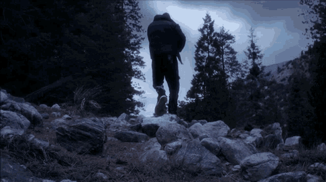 a person walking on a rocky path in a forest