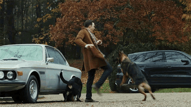 a man standing next to a car with two dogs