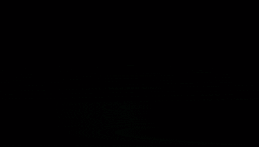 the word bonky is displayed on a dark background