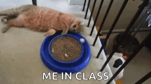 Me In Class Lazy Cat GIF - Me In Class Lazy Cat Mondays GIFs