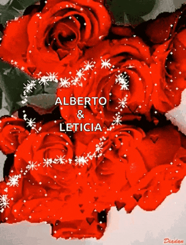 a bouquet of red roses with the names alberto and leticia written on it