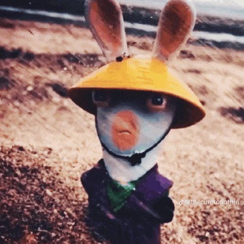 a rabbit wearing a yellow hat and a purple jacket is standing in the dirt