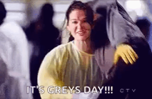 Greys Day Grey Anatomy GIF - Greys Day Grey Anatomy GIFs