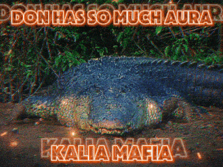 a crocodile is laying in the dirt with the words kalia mafia above it
