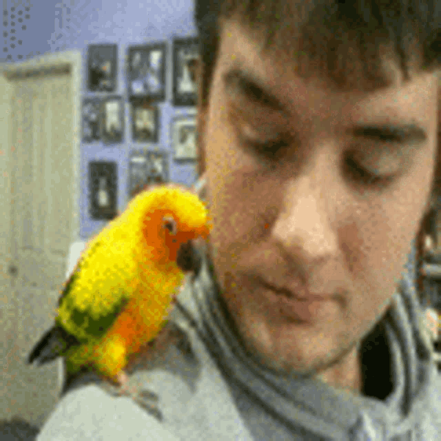a man is holding a yellow parrot on his shoulder