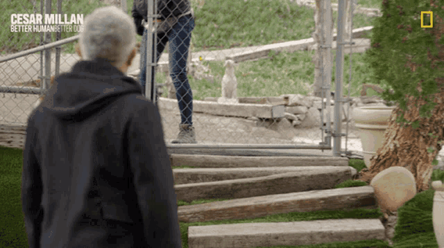 a man in a black jacket stands in front of a chain link fence with the words cesar millan better human better dog on it
