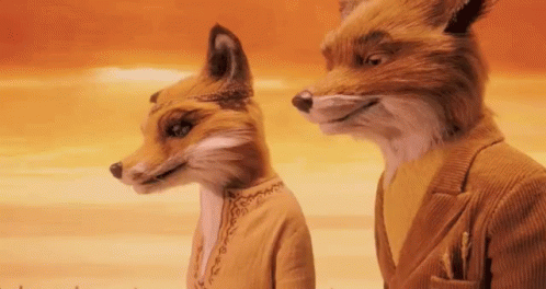 O Fantástico Sr. Raposo / Raposinha / Fantastic Mr Fox GIF - Fantastic Mr Fox Eu Tento Ser Fox GIFs