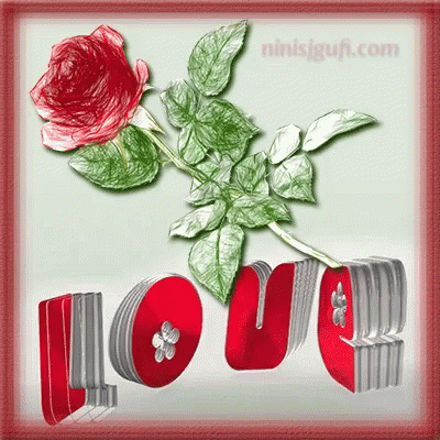 Love Rose GIF - Love Rose Red GIFs