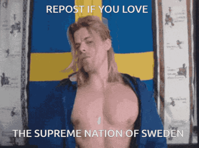 Svensk Swedish GIF - Svensk Swedish GIFs
