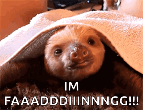 Awww Sloth GIF - Awww Sloth Adorable GIFs