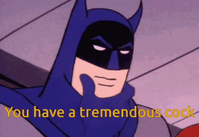 a cartoon of batman with the words you have a tremendous cock below him