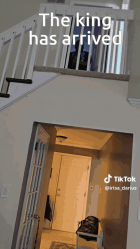 the king has arrived on a tiktok video