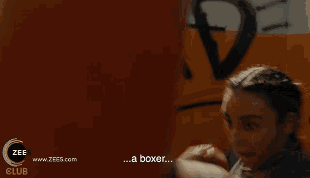 a woman is punching a punching bag with the words " a boxer " in the corner