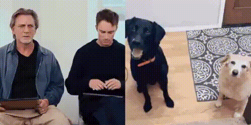 a man is sitting at a table with a laptop and a dog is sitting on the floor .