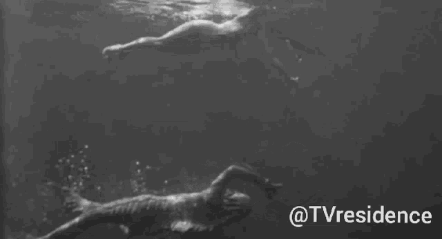 a black and white photo of a person swimming in the water with the hashtag @tvresidence