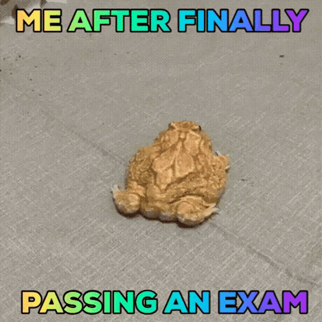 Me After Finally Passing An Exam Finally Passed The Exam GIF - Me After Finally Passing An Exam Finally Passed The Exam Nervous About The Exam GIFs
