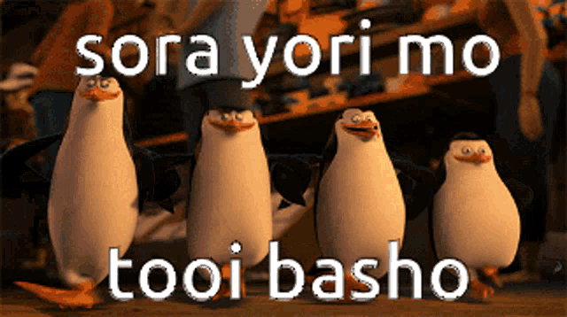 a group of penguins standing next to each other with sora yori mo tooi basho