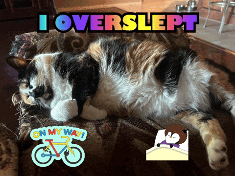 a calico cat is laying on a couch with the words i overslept above it