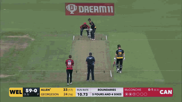 a cricket game is being played between wel and allen 's team