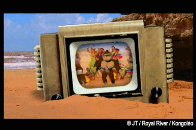a picture of a tv on a beach with a caption that says royal river
