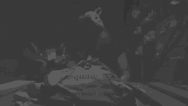 a black and white photo of a stuffed animal wearing a mask with the word triumph on it