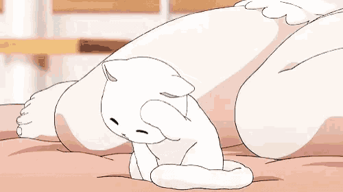 a white cat is laying on a bed with a woman 's legs .