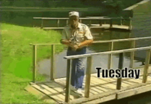 Tuesday Falling Down GIF - Tuesday Falling Down Bridge GIFs