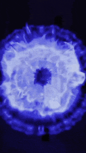 a blue and white circle with a black center