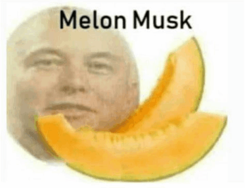 Melon Musk GIF - Melon Musk GIFs