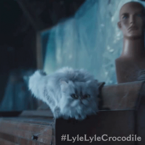 Cat Jumping Lyle Lyle Crocodile GIF - Cat Jumping Lyle Lyle Crocodile Here I Come GIFs