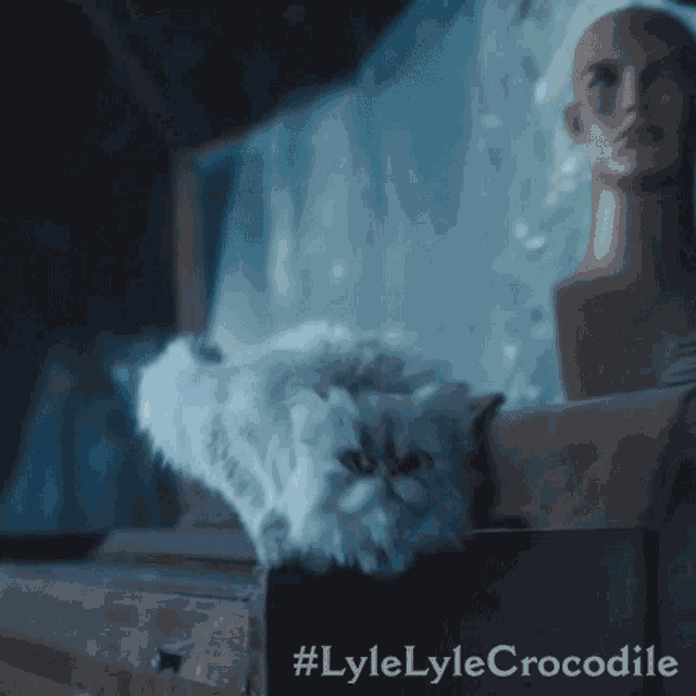 a cat laying on a dresser next to a mannequin head with #lylelylecrocodile written on the bottom