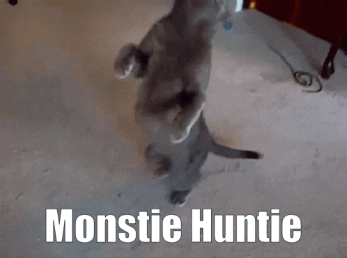 a cat standing on its hind legs with the words monstie huntie written above it