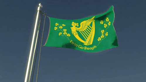 a green flag with a harp and the words erin go bragh