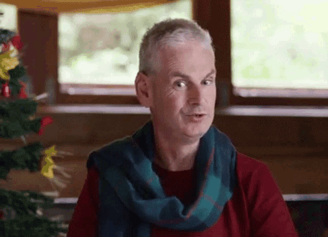 a man wearing a red sweater and a green scarf is sitting in front of a christmas tree .