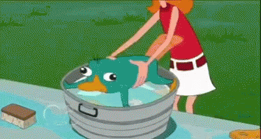 Phineas And Ferb Platypus GIF - Phineas And Ferb Platypus No GIFs