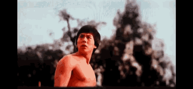 a shirtless man is standing in front of trees in a forest .