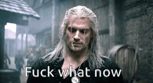 What Now The Witcher GIF - What Now The Witcher Geralt GIFs