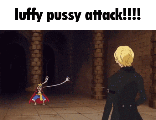 a picture of luffy and sanji with the caption luffy pussy attack !!!