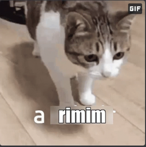A Rimim GIF - A Rimim GIFs