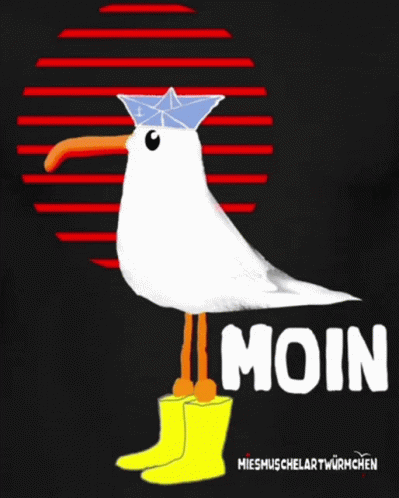 Moinsen Möwe GIF - Moinsen Moin Möwe GIFs