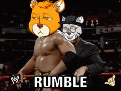 Radcats Rumble GIF - Radcats Rumble Radcats Rumble GIFs