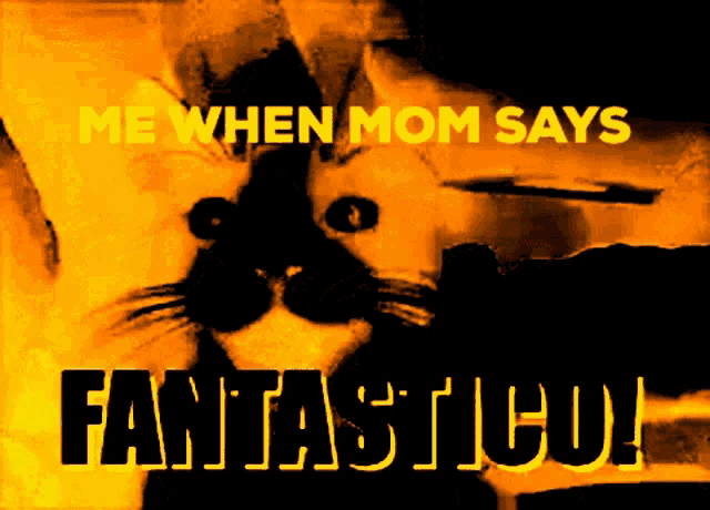 a picture of a cat with the words me when mom says fantastic