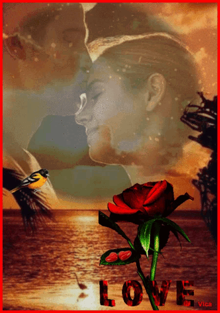 a picture of a man and woman kissing with a rose in the foreground and the word love in red