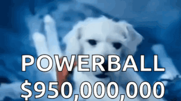 a picture of a puppy with the words powerball $ 95,000,000