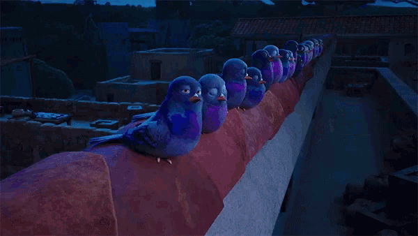Whoa Pigeons GIF - Whoa Pigeons Shocked GIFs
