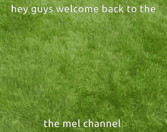 Melchannel Grass GIF - Melchannel Mel Grass GIFs
