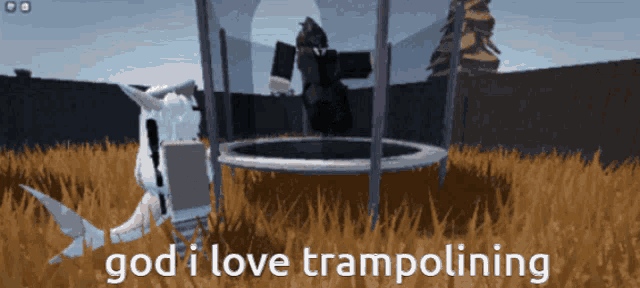 a picture of a person on a trampoline with the words god i love trampolining below them